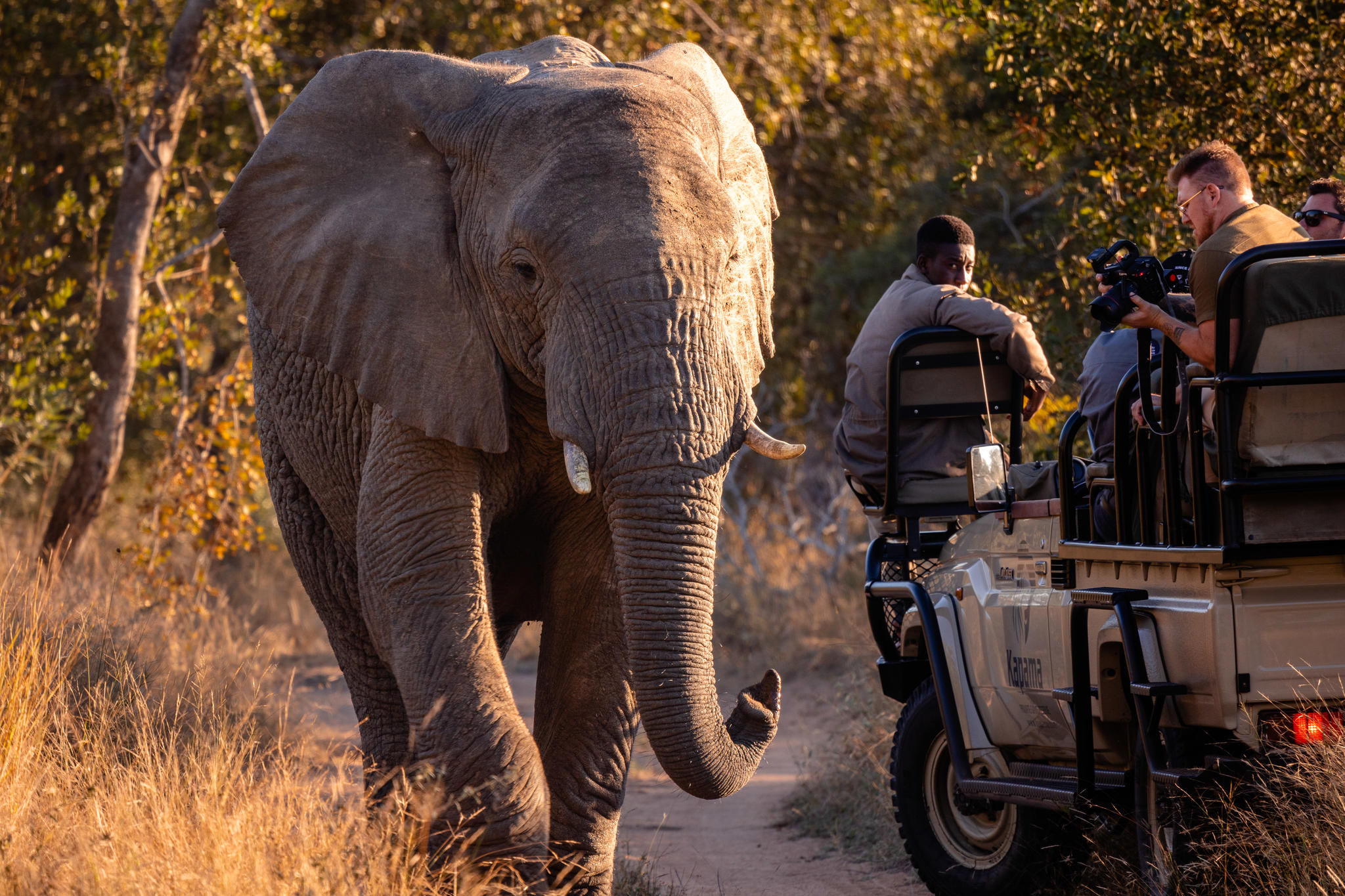 Kapama Wildlife - Big Five Safari