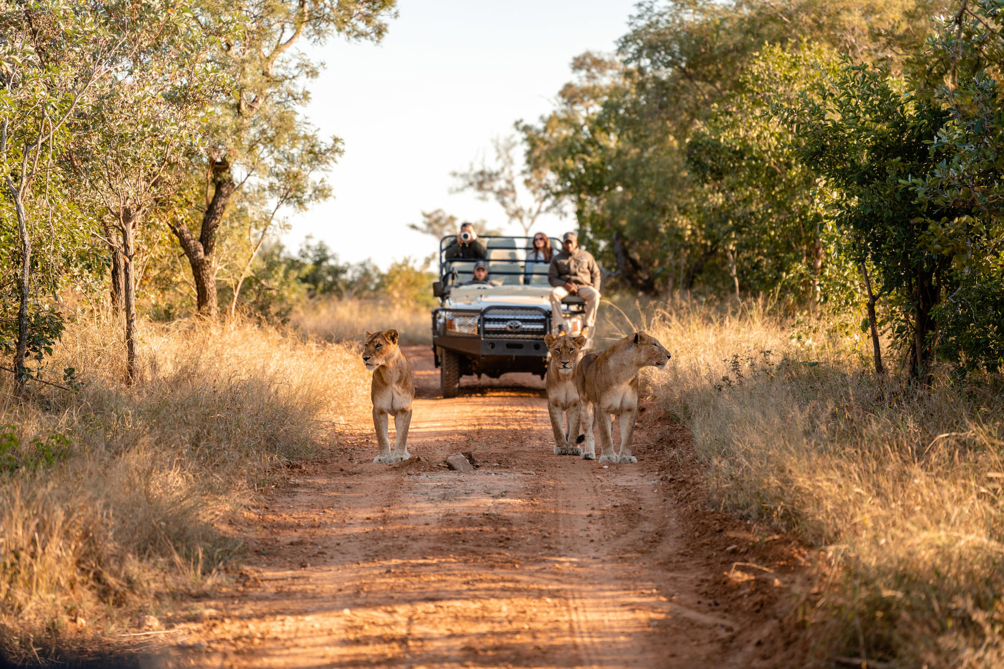 Kapama Wildlife - Big Five Safari