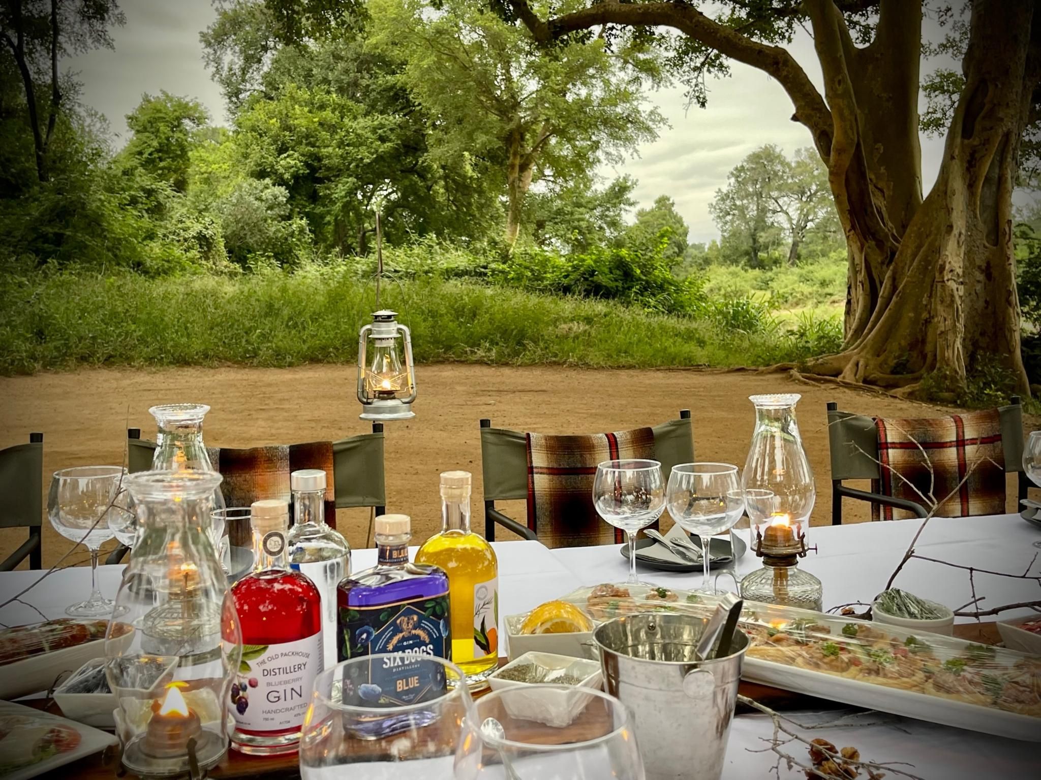 Gin Tasting at Fig Trees 