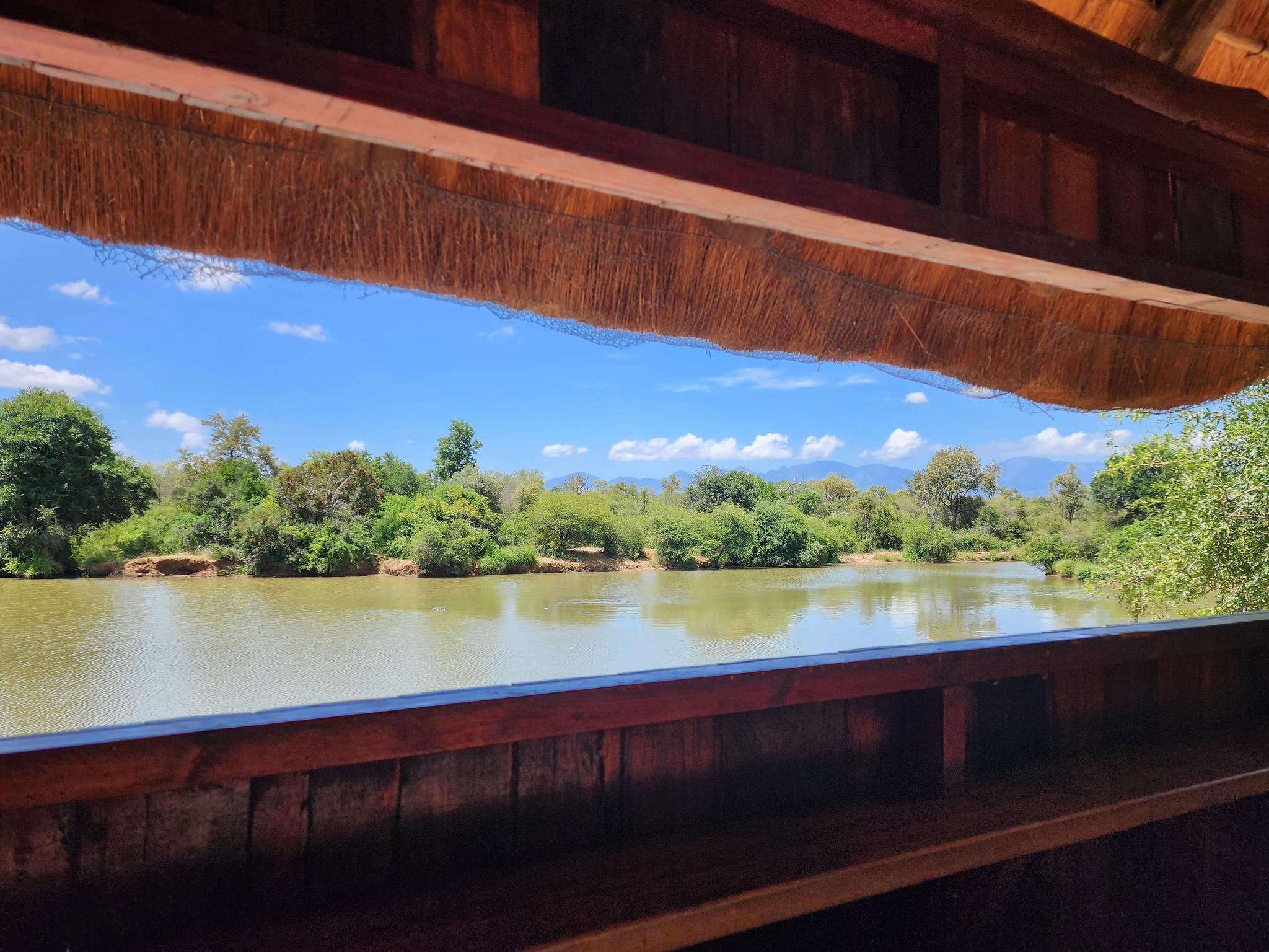 Bird Hide at River Lodge 