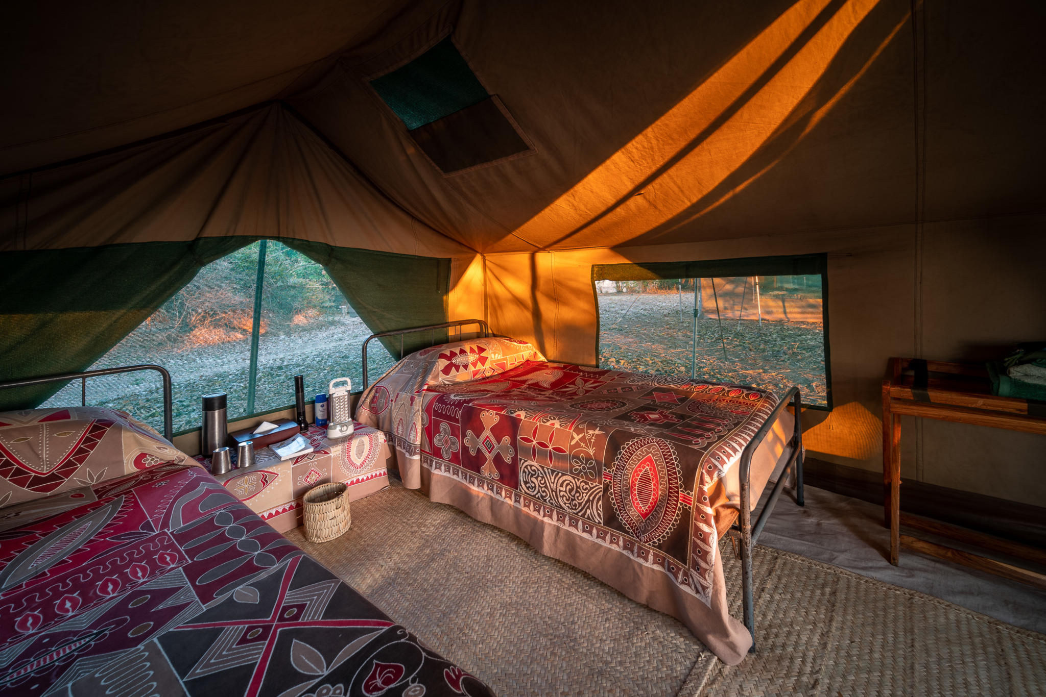 The Mobile Walking Safari