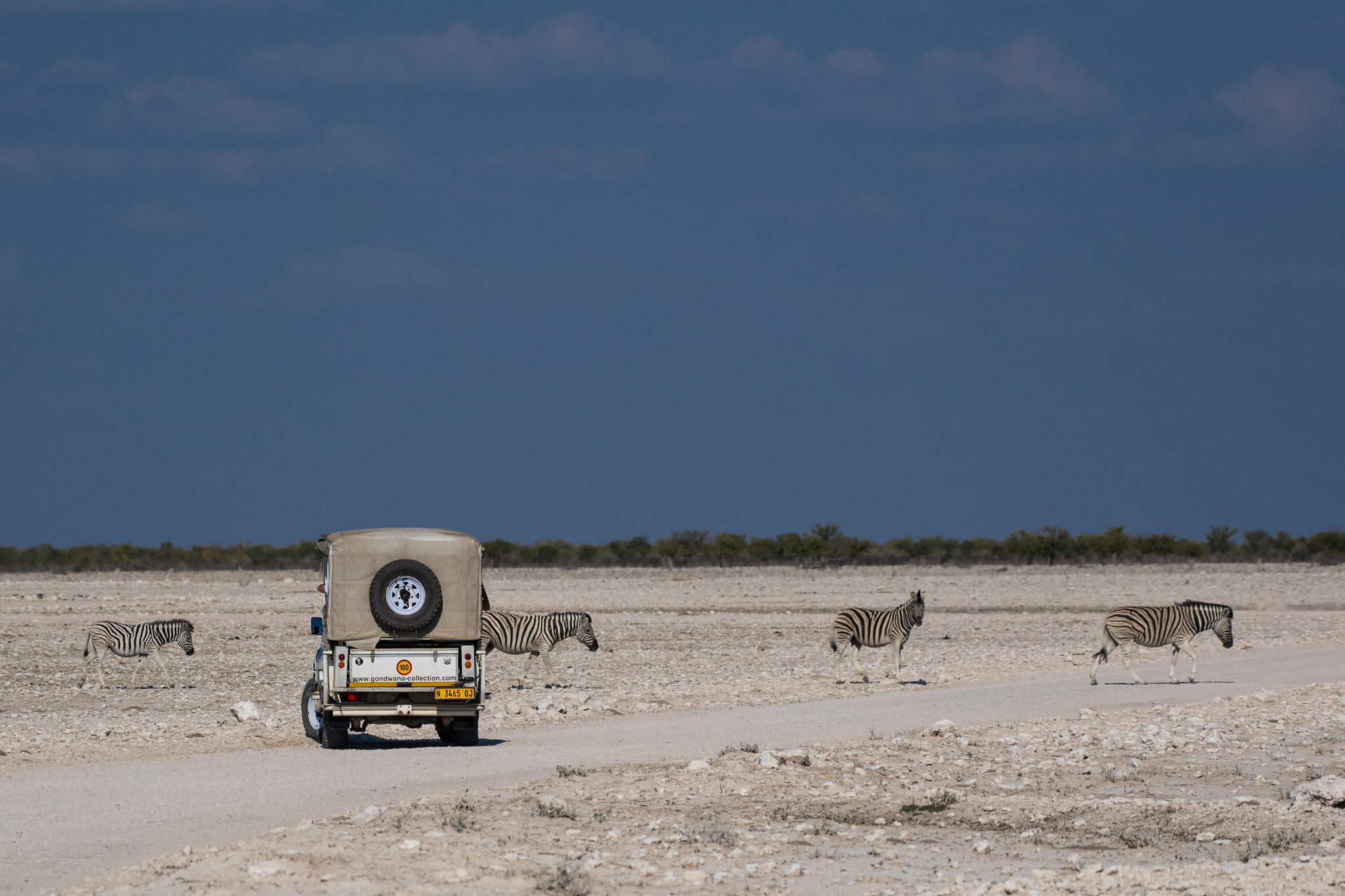 Etosha Safari Lodge