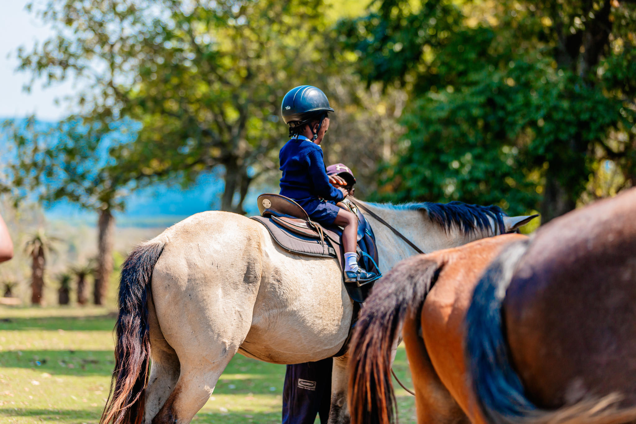 Mlilwane Game Sanctuary