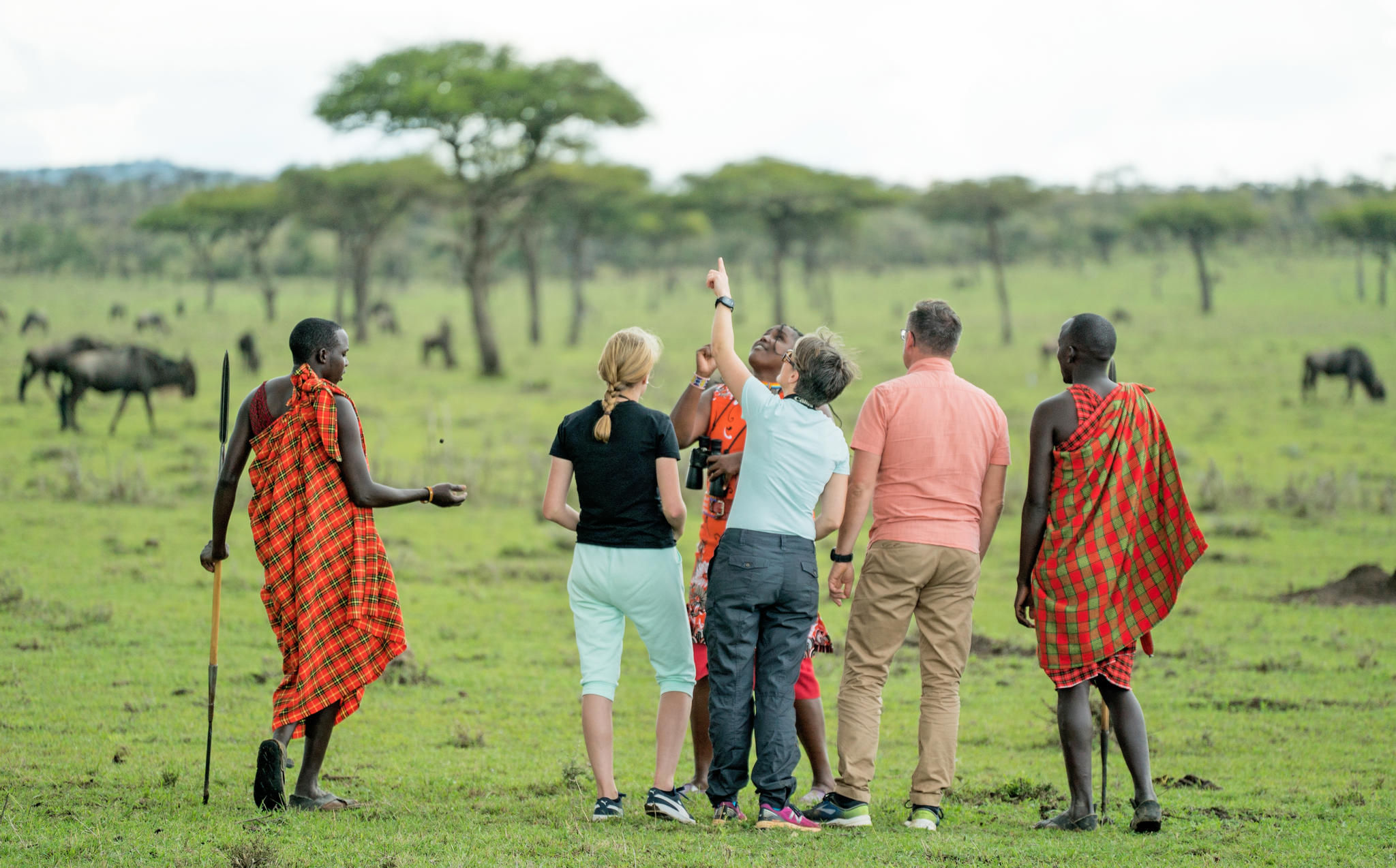 Guided walking safari
