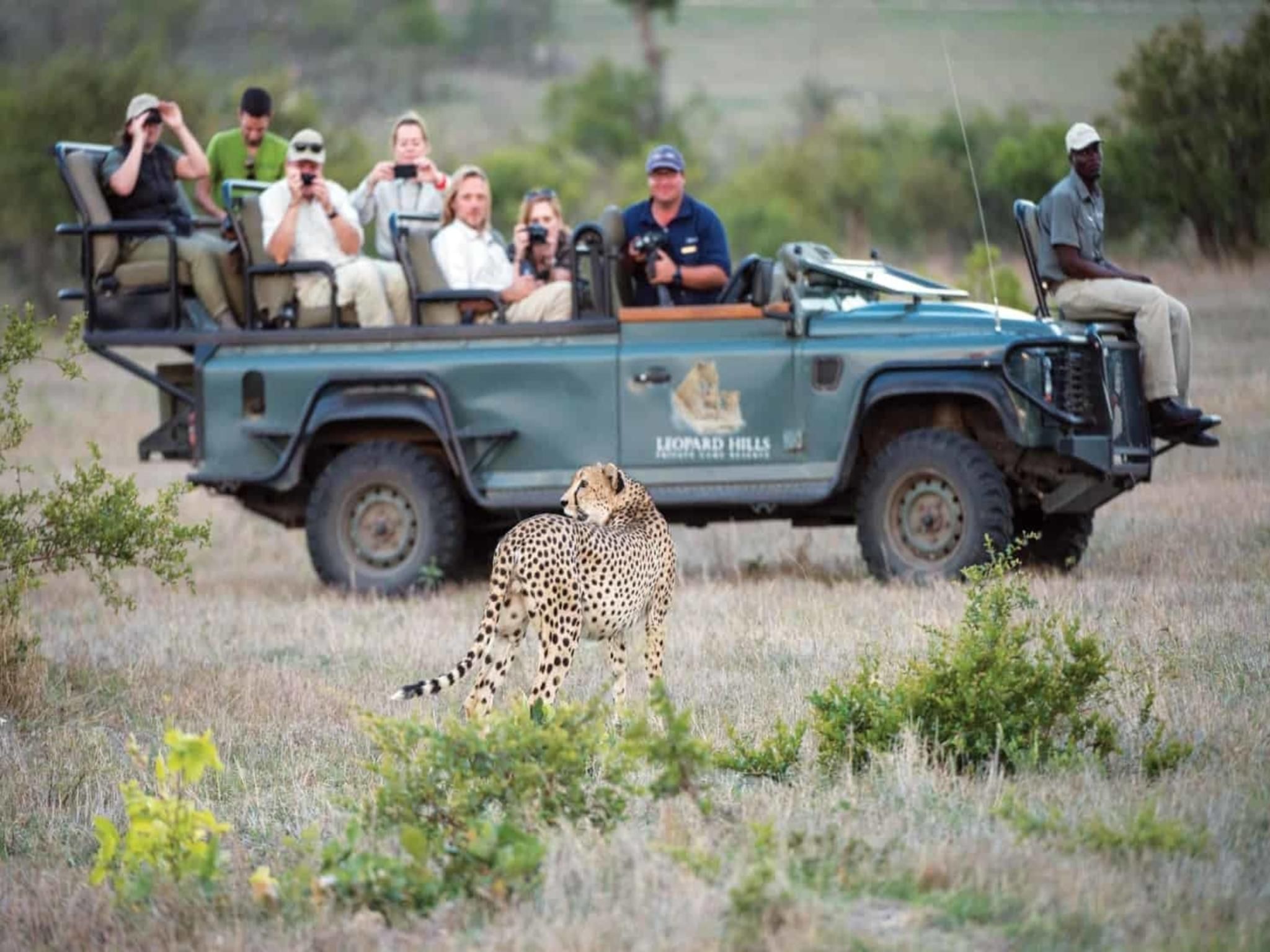 Leopard Hills