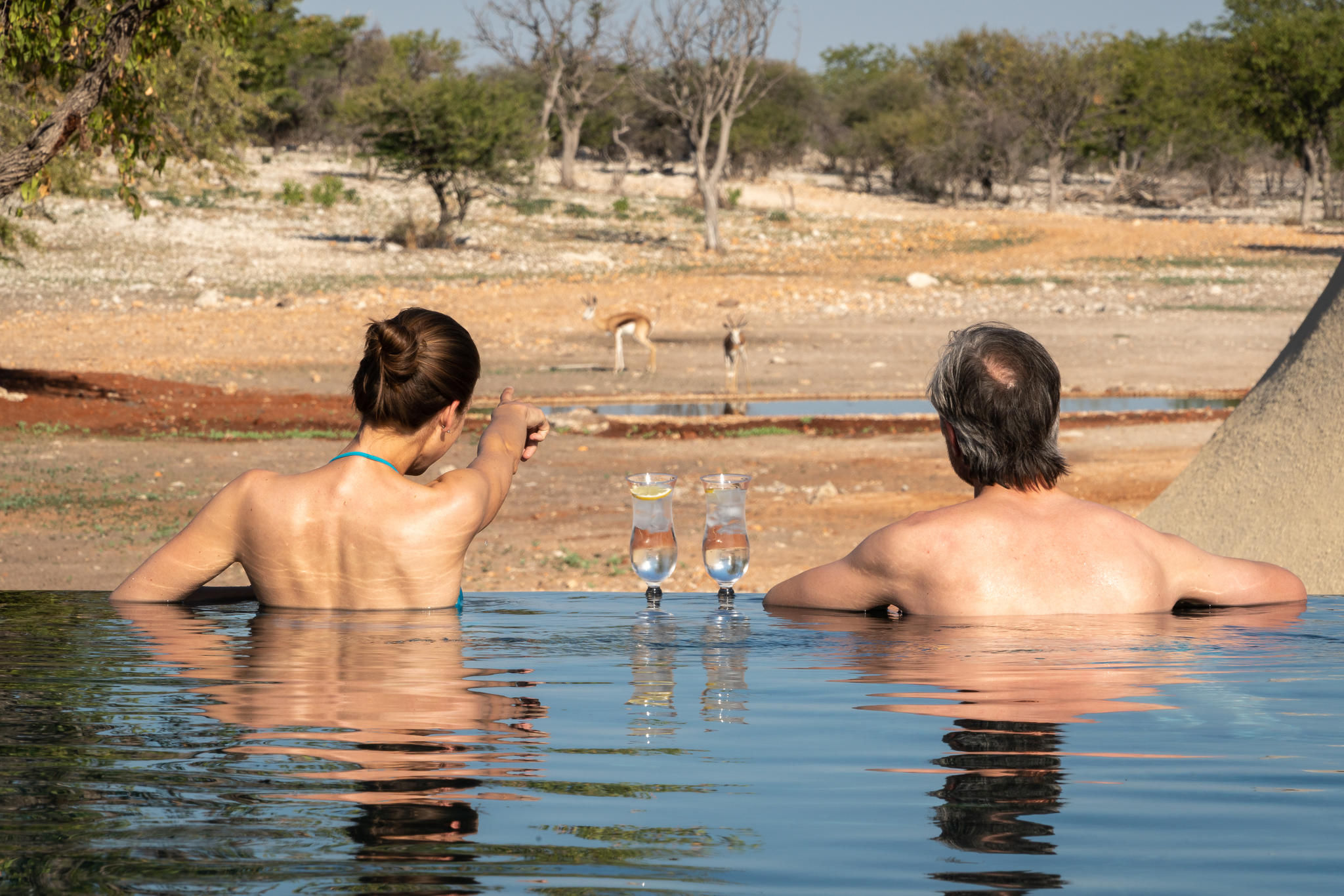 Anderssons at Ongava