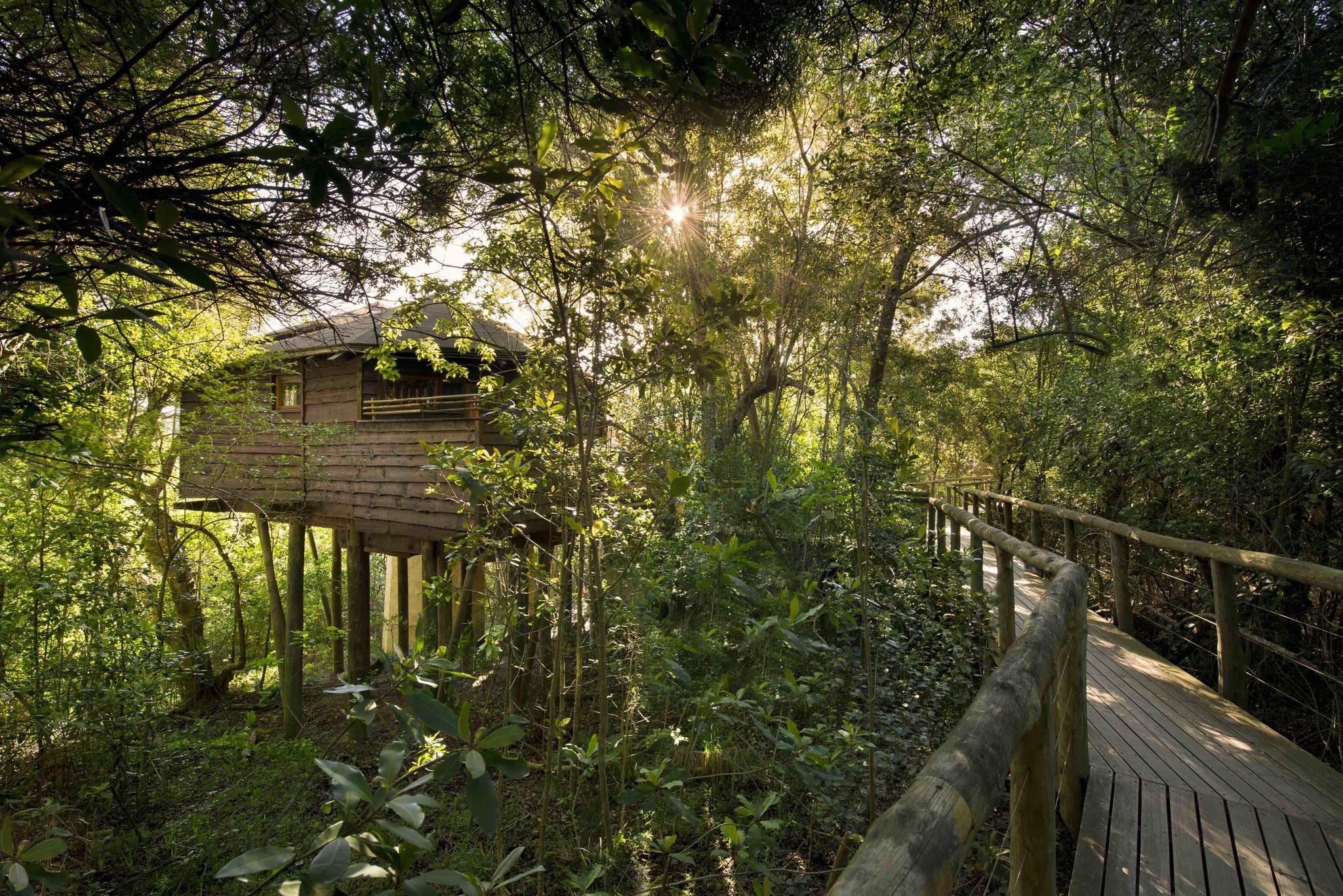 Tsala Treetop Lodge Suite Exterior 