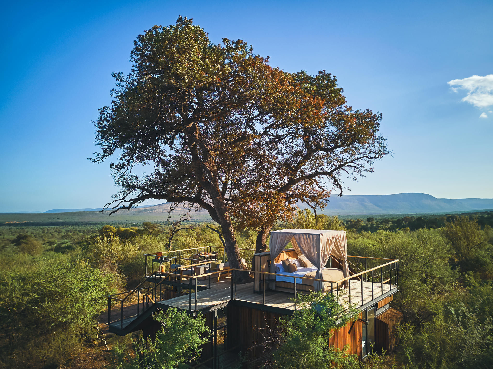 Thabametsi Treehouse 1