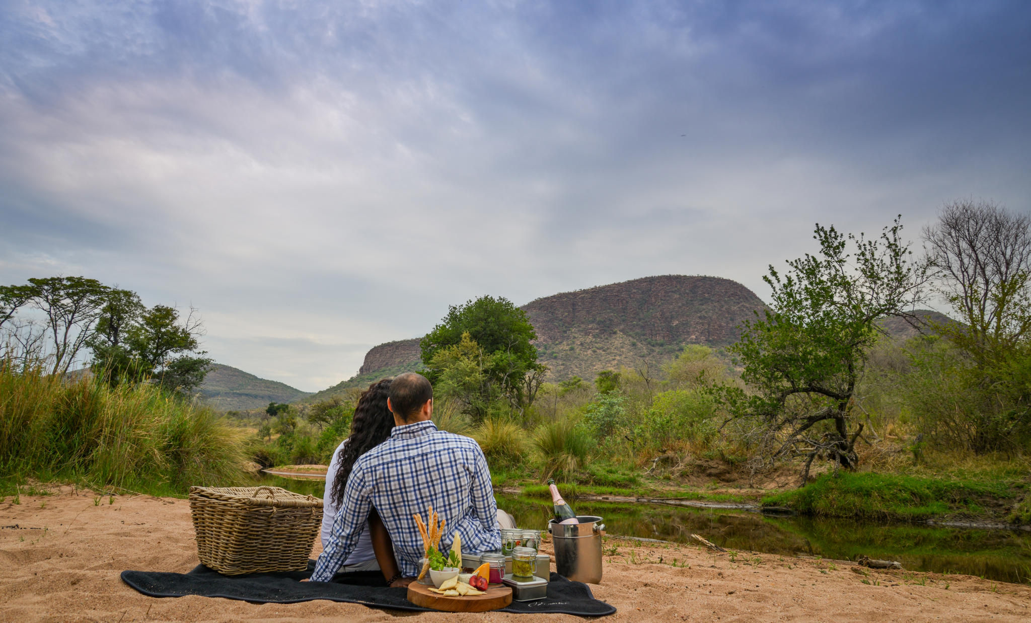 Bush picnic