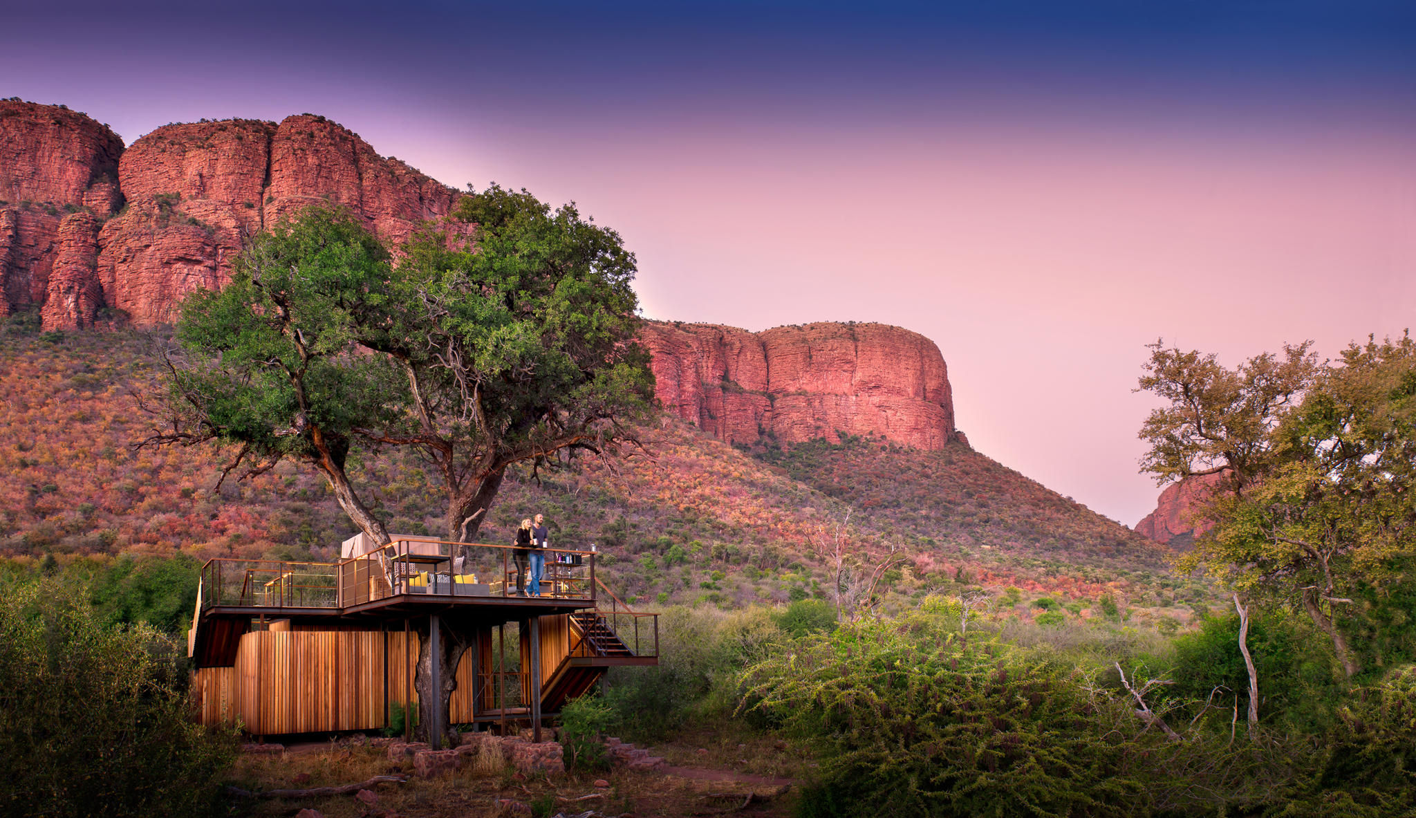 Thabametsi Treehouse
