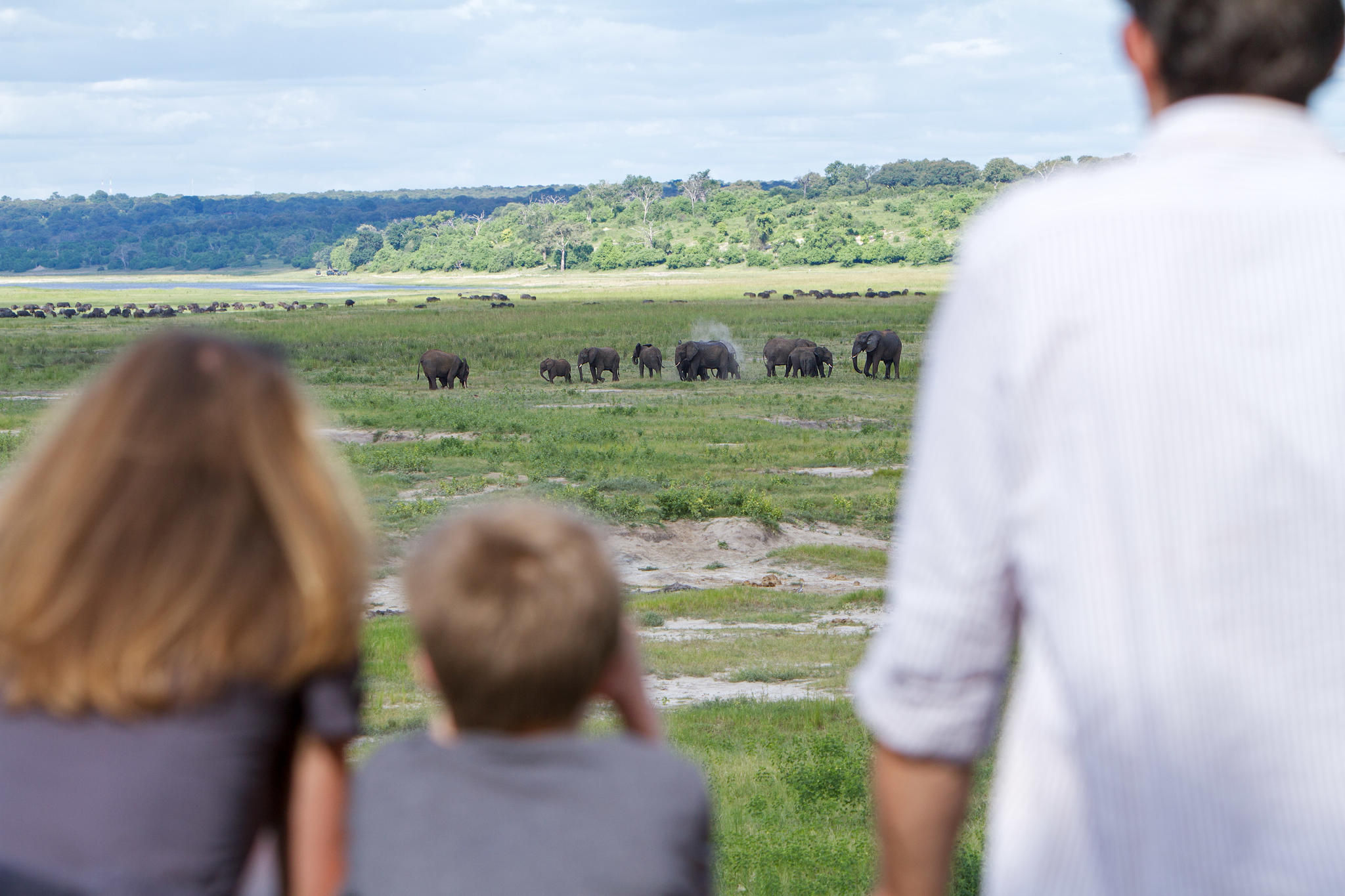 Game viewing from the Chobe Deck