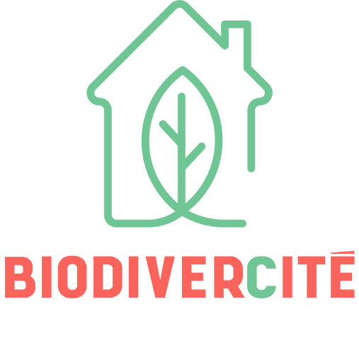 BiodiverCité – appel à projets 2022 | Actualités | La biodiversité en Wallonie