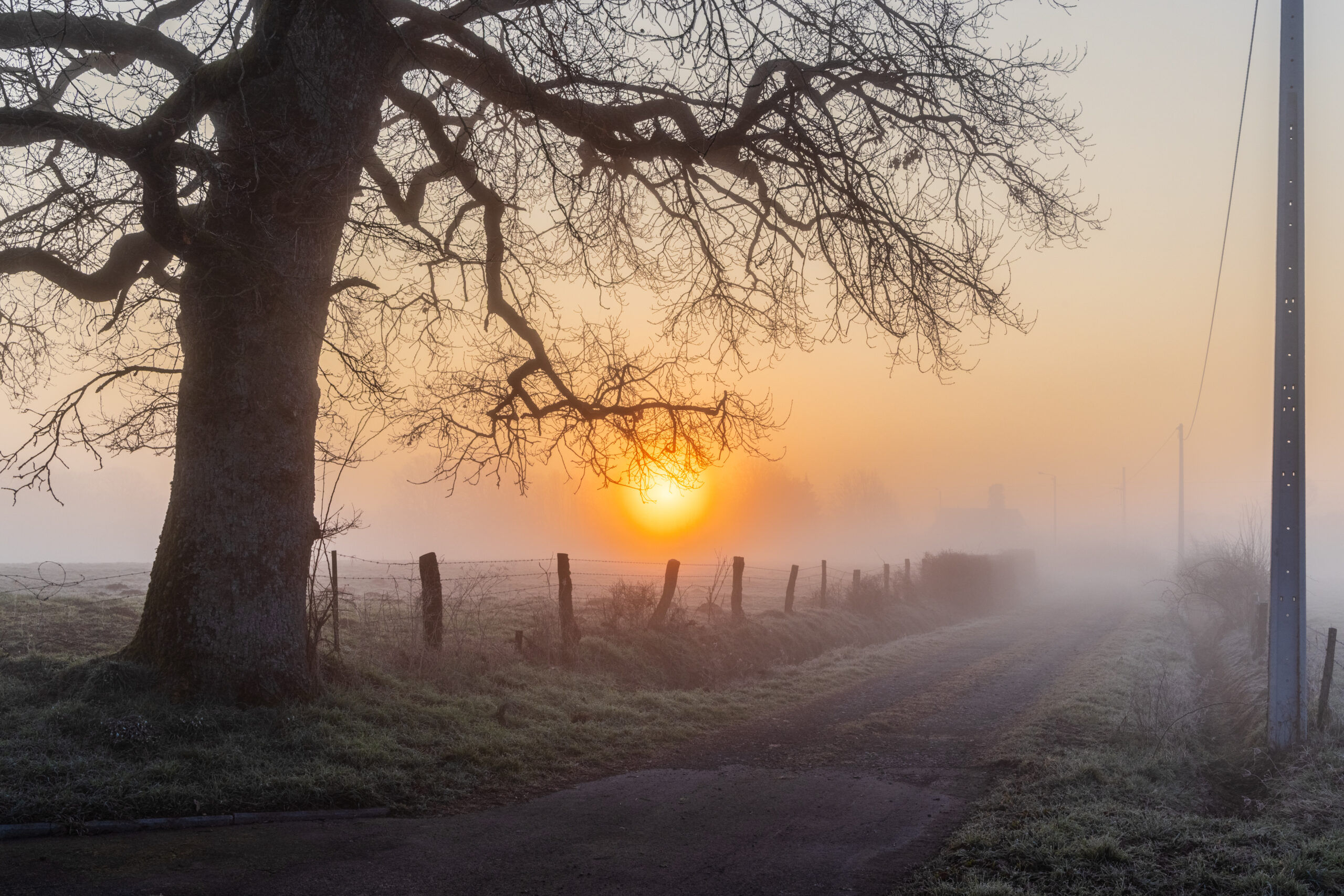 Brume Matinale - photo de Philippe Magerus