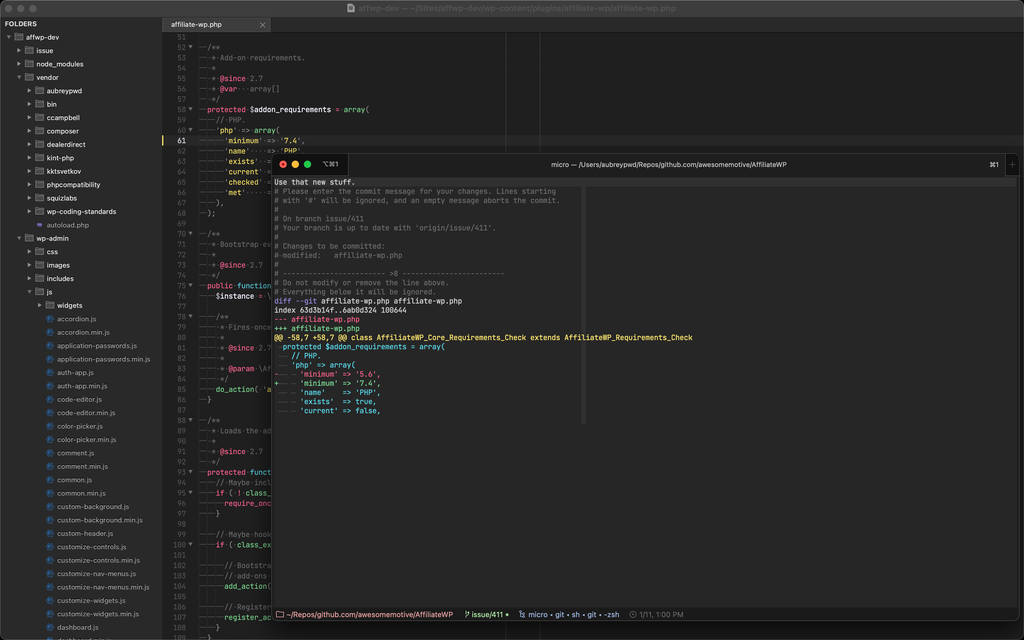 Sublime Text & Micro Editor