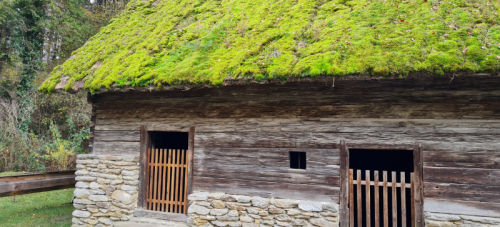 MUSIS-Museum