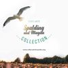 Spalding and Magan Collection