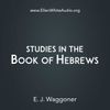Studies in the Book of Hebrews