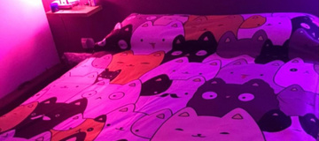 Cover Me