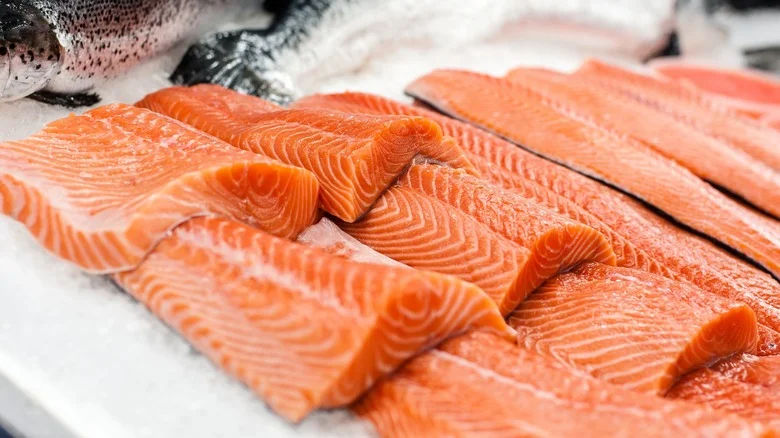 ikan salmon