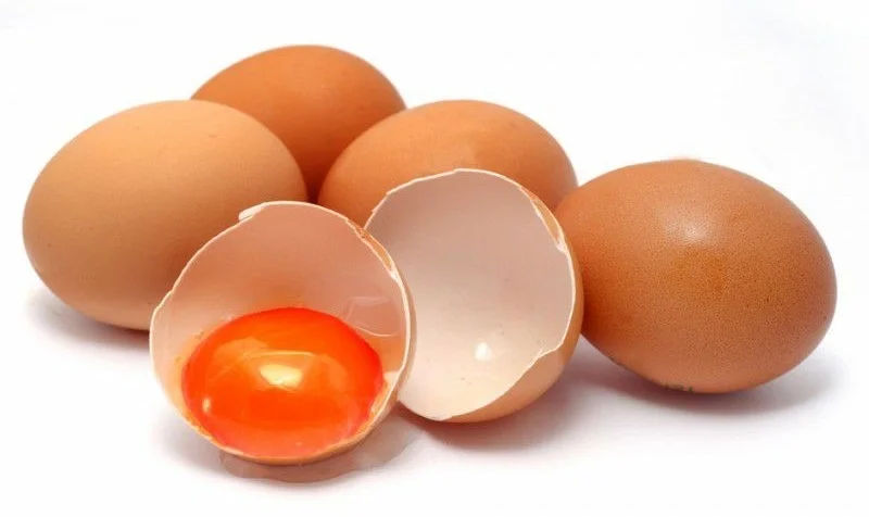 telur omega