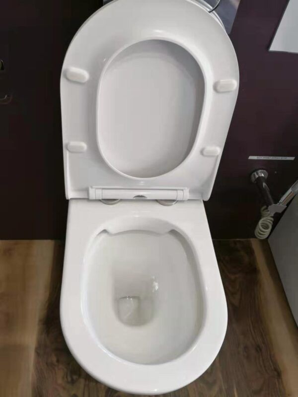BM In Wall Toilet With Geberit System