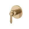 202101UU.jpg FNZ210SBGB Brass Gold Shower Mixer