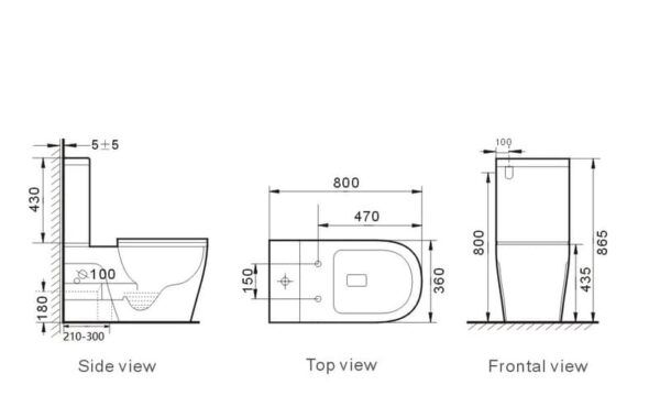 EC EXTRACARE Rimless Flush Toilet Suite