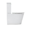 Image_JTTV301.J2371.101-Side.png Johnson Suisse Venezia Rimless Flush Ambulant Toilet Suite
