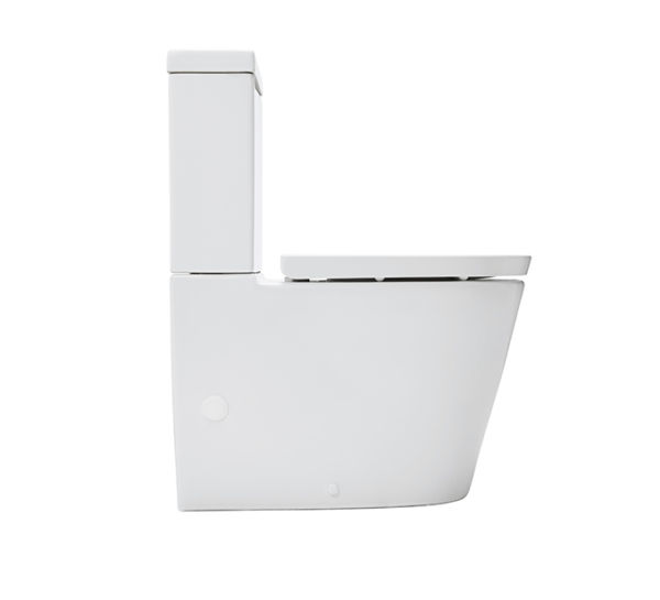 Johnson Suisse Venezia Rimless Flush Ambulant Toilet Suite
