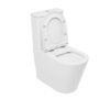Image_JTTV331.JTTV333.315-Seat-open-scaled-1-scaled-1.jpg Johnson Suisse Venezia Rimless Flush Ambulant Toilet Suite