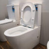 WeChat-Image_20200123135037-scaled-1.jpg EC Tornado Flush Toilet Suite