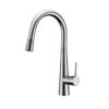 image_1569887230.png EC4122 Chrome Kitchen Sink Mixer