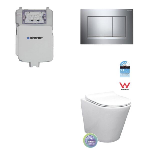 BM In Wall Toilet With Geberit System