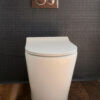 333 BM In Wall Toilet With Geberit System