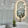 1LED镜3 AU-LMBM-450 Oval LED Mirror 450x900mm