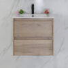 CAWH10-600-9 AU10 Wall Hung Vanity - 600mm