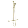 NRO006BG-1-1024×1011 NRO006BG Brushed Gold Round Care 32mm T Bar Grab Rail and Adjustable Shower Rail