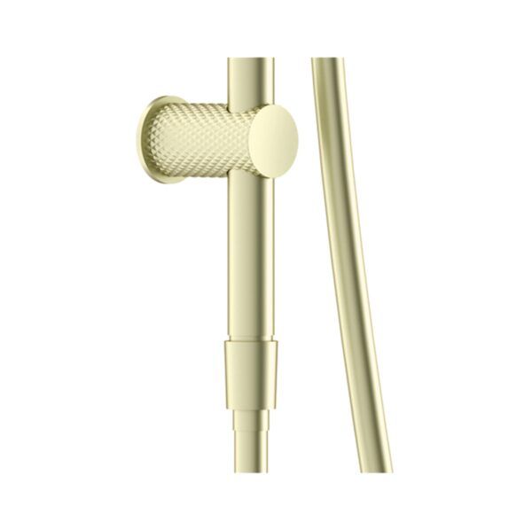 NRO251905ABG Brushed Gold Round Shower Rail with Air Shower