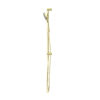 NRO251905GBG-2 NRO251905GBG Brushed Gold Round Shower Rail with Air Shower