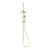 NRO210502AB Aged Brass Twin Shower with Metal Hand Shower