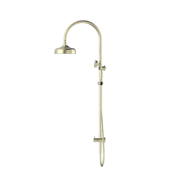 NRO210502AB Aged Brass Twin Shower with Metal Hand Shower