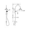 NRO210502AB Aged Brass Twin Shower with Metal Hand Shower