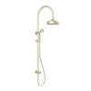 NRO210502AB Aged Brass Twin Shower with Metal Hand Shower