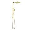 1-2-768×768-3 NRO301505CBG Brushed Gold Round Twin Shower Rail