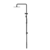 NRO32105EMB-2 NRO32105EMB Matt Black Twin Shower Rail