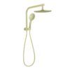 NRO50805BBG Brushed Gold 2 in 1 Round Twin Shower Rail