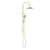 NRO51905EBG Brushed Gold Twin Shower Rail