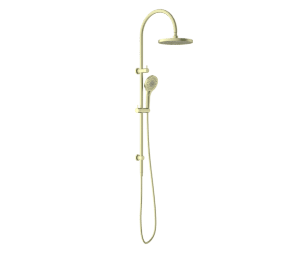 NRO51905EBG Brushed Gold Twin Shower Rail