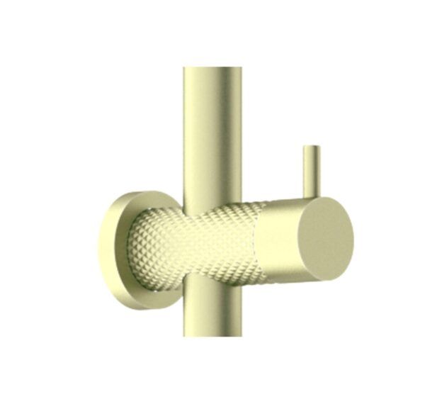 NRO51905EBG Brushed Gold Twin Shower Rail