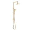 FNZ455109UB-1024×949 FNZ455109UB Urban Brass Twin Shower Rail